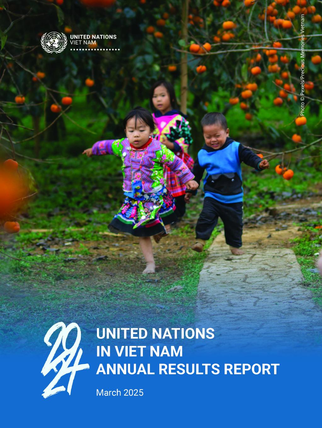 Việt Nam và Armenia Tăng Cường Hợp Tác Qua Cuộc Tư Vấn Chính Trị Tại Hà Nội